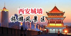 非洲黑妞阴户毛茸茸中国陕西-西安城墙旅游风景区